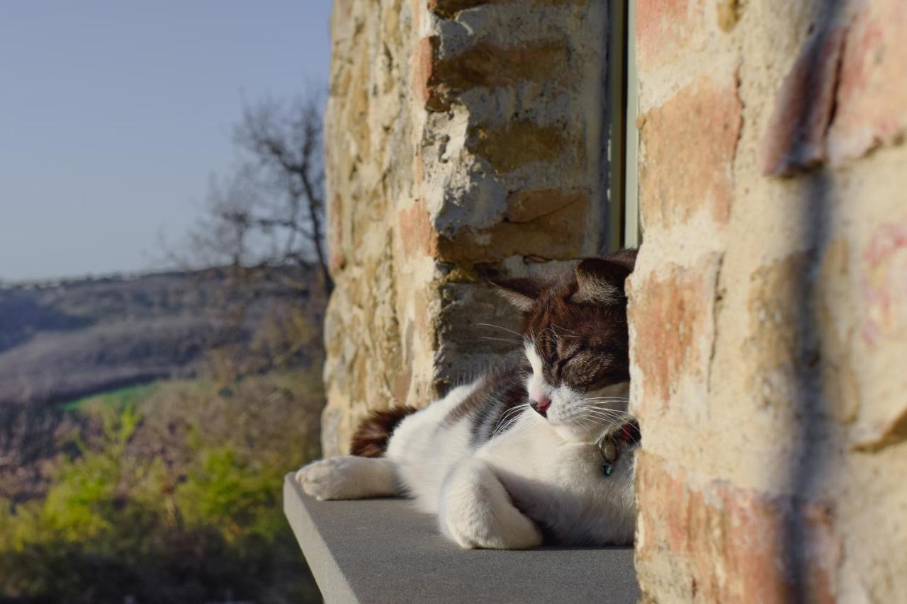 Vila Podere Paradiso Magione Exteriér fotografie