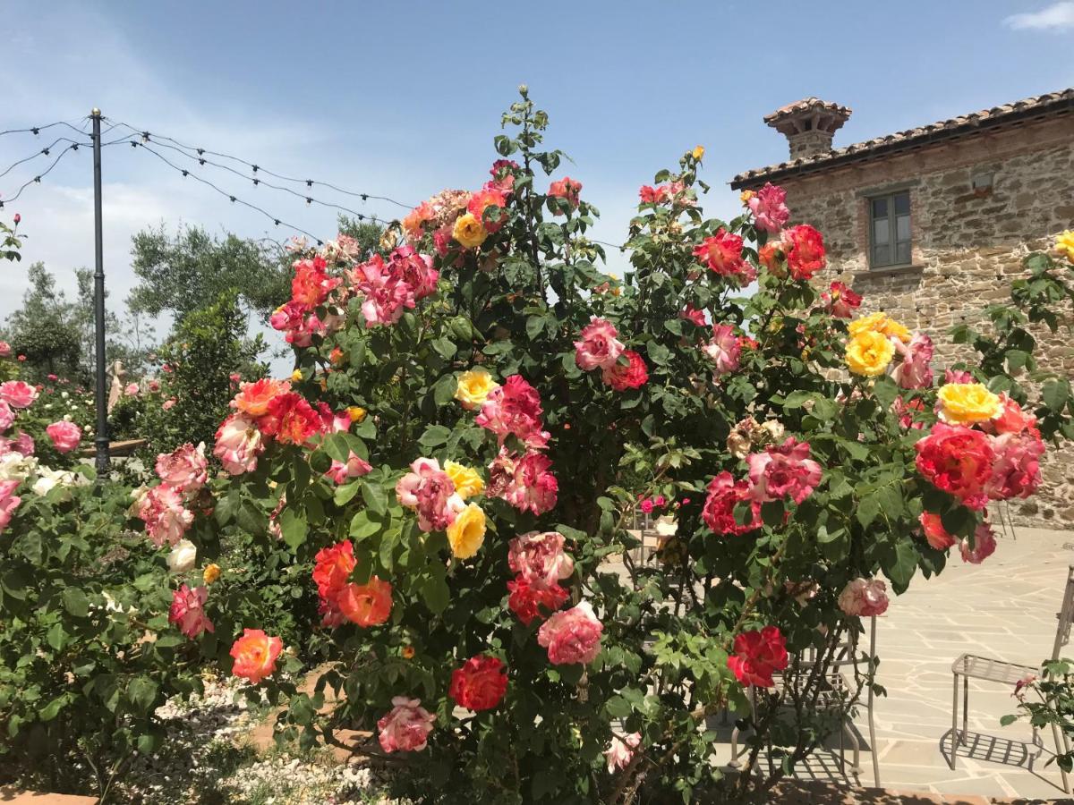 Vila Podere Paradiso Magione Exteriér fotografie